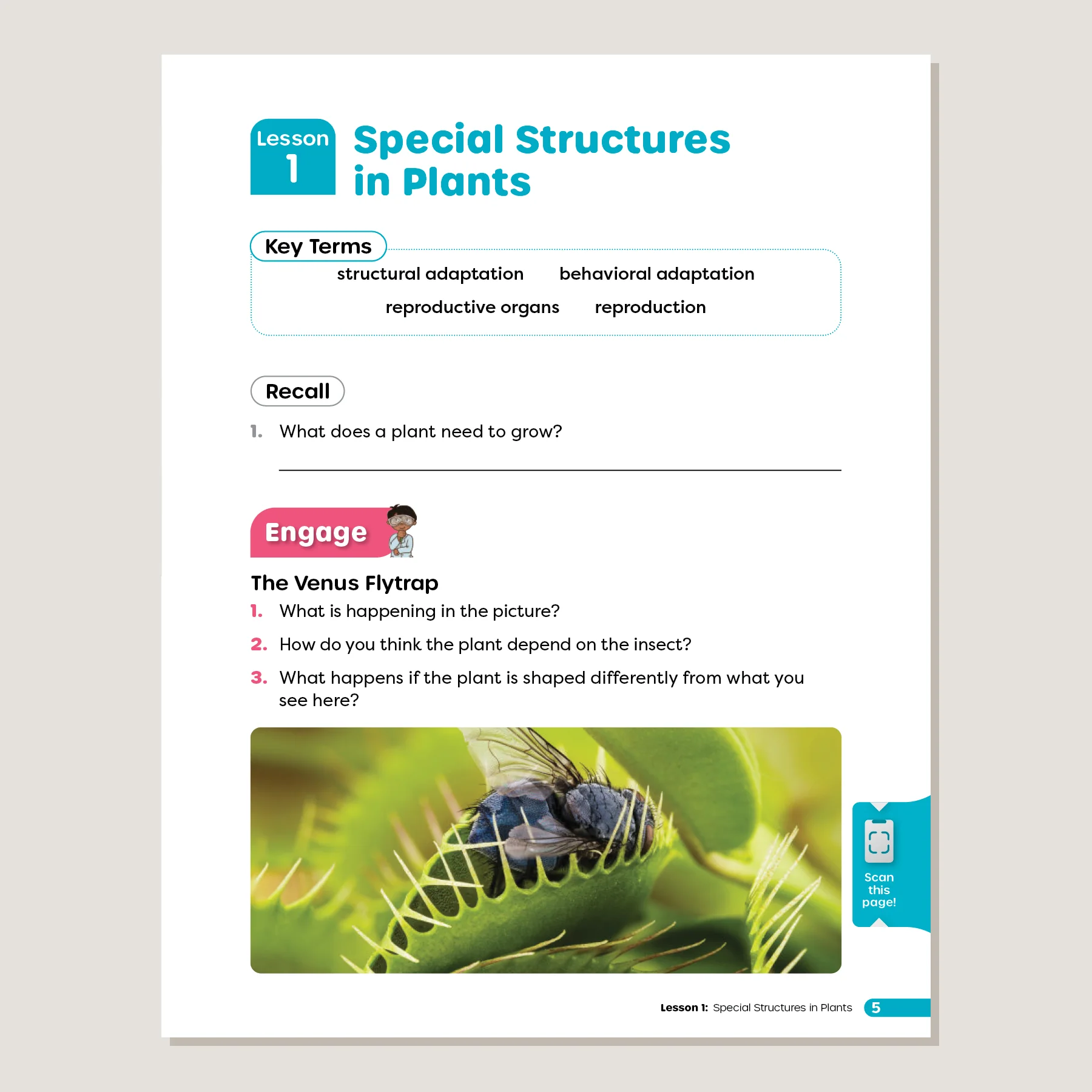 Primary Science Worktext G4B - Image 2